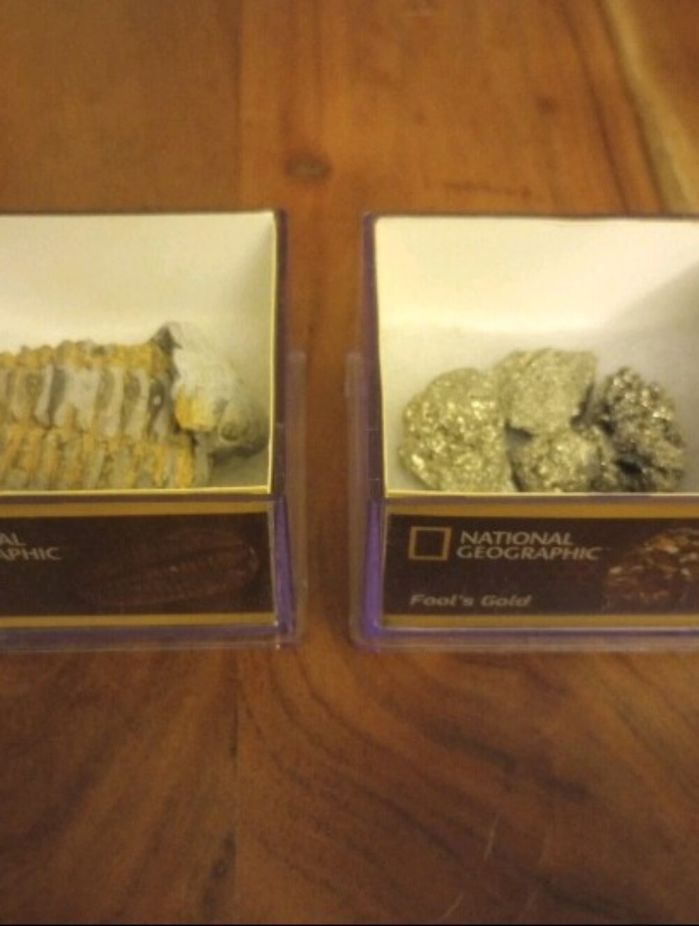 National Geographic trilobite and fool's gold